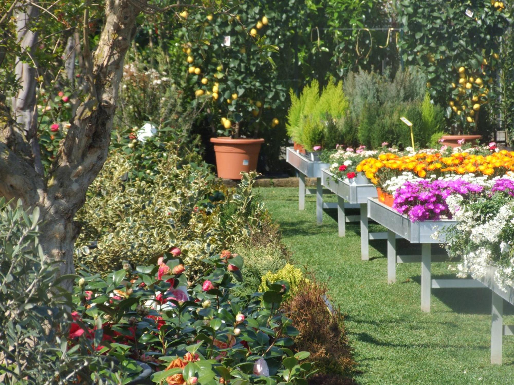 Bed and Breakfast Residenza I Ciclamini Rom Exterior foto