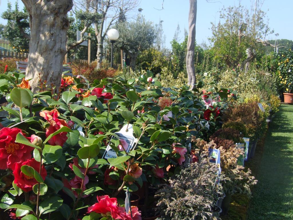 Bed and Breakfast Residenza I Ciclamini Rom Exterior foto