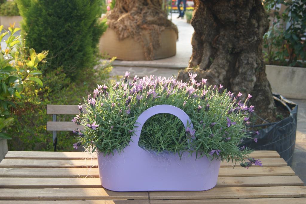 Bed and Breakfast Residenza I Ciclamini Rom Exterior foto